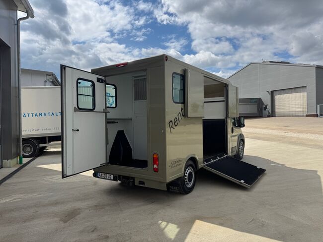 Pferdetransporter Theault Hengstausstattung Automatik 177PS, Fiat Theault Fiat Ducato Hengst, Gerhard Strobel (Dickenherr Trucks und Trailers), Horse Trailers, Baden-Württemberg - Unterschneidheim, Image 5