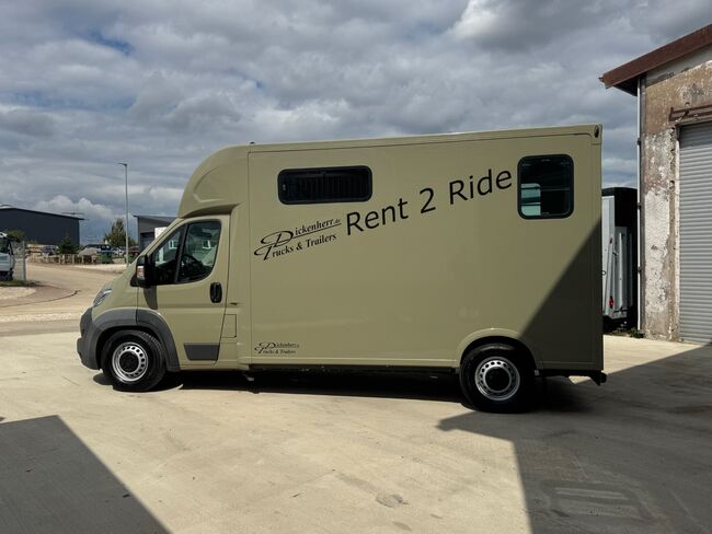 Pferdetransporter Theault Hengstausstattung Automatik 177PS, Fiat Theault Fiat Ducato Hengst, Gerhard Strobel (Dickenherr Trucks und Trailers), Horse Trailers, Baden-Württemberg - Unterschneidheim, Image 6