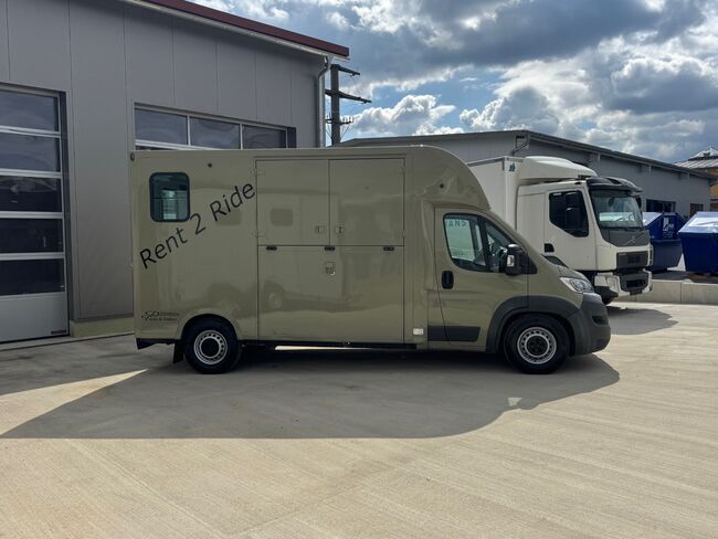 Pferdetransporter Theault Hengstausstattung Automatik 177PS, Fiat Theault Fiat Ducato Hengst, Gerhard Strobel (Dickenherr Trucks und Trailers), Horse Trailers, Baden-Württemberg - Unterschneidheim, Image 15