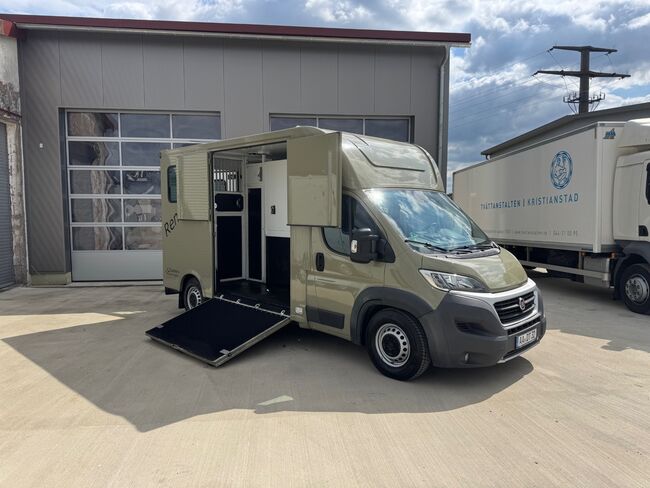Pferdetransporter Theault Hengstausstattung Automatik 177PS, Fiat Theault Fiat Ducato Hengst, Gerhard Strobel (Dickenherr Trucks und Trailers), Horse Trailers, Baden-Württemberg - Unterschneidheim, Image 16