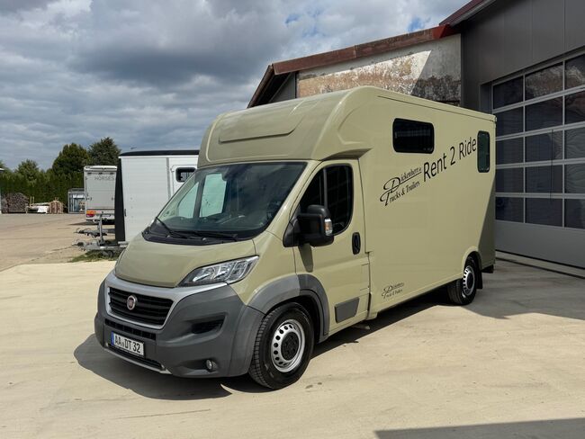 Pferdetransporter Theault Hengstausstattung Automatik 177PS, Fiat Theault Fiat Ducato Hengst, Gerhard Strobel (Dickenherr Trucks und Trailers), Horse Trailers, Baden-Württemberg - Unterschneidheim, Image 20