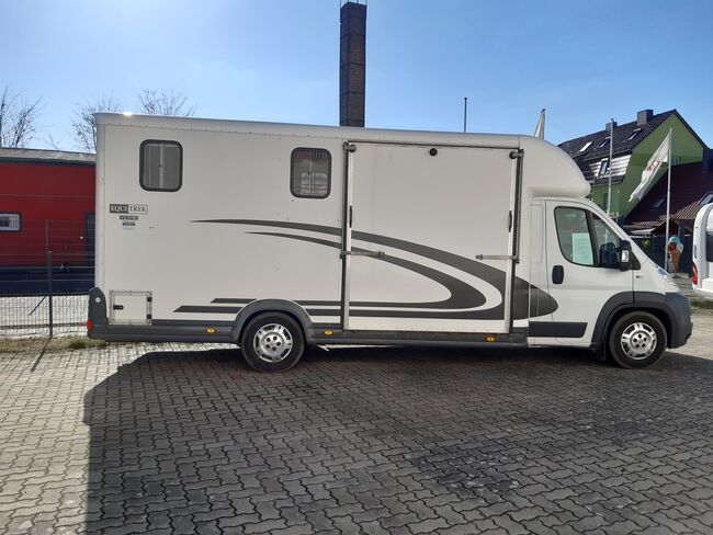 Pferdetransporter mit Wohnkabine, Peugeot Equi Trek  Victory- 2er Pferdetransporter, Stefanie Jainda, Travel Equipment, Luckenwalde, Image 3