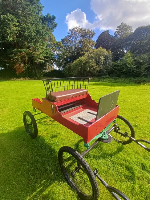 Horse trap, Lee o , Powozy konne, Kildare