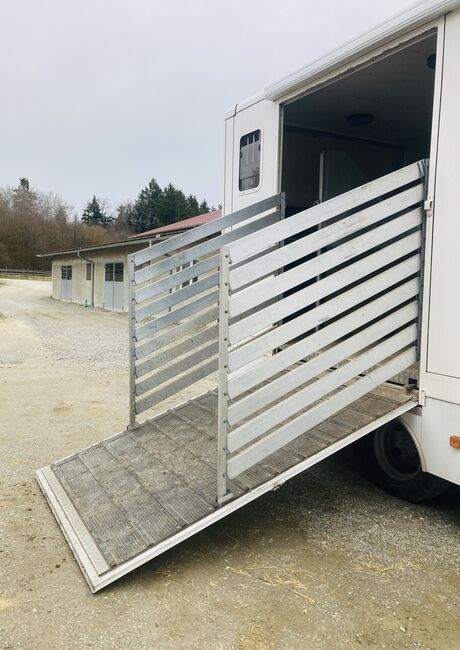 Pferde-LKW / Pferdetransporter 7,5t, MAN, S.M., Horse Trailers, Friedrichshafen , Image 10