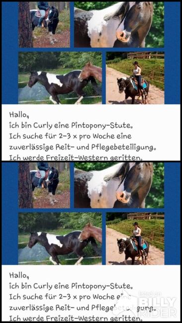 Reitbeteiligung, Kunert  Sabine , Horse Sharing, Küps, Image 3
