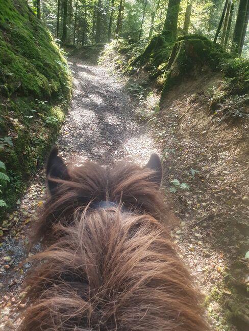 Reitbeteiligung, Dane, Horse Sharing, Escholzmatt