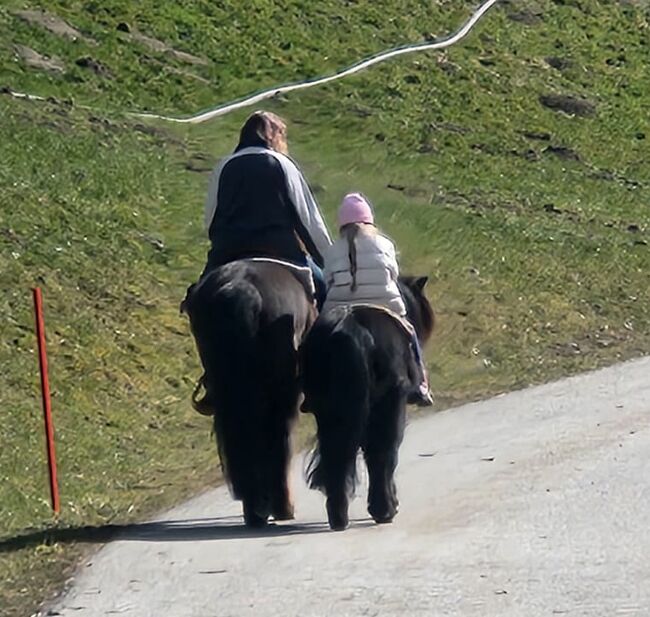 Reitbeteiligung, Dane, Horse Sharing, Escholzmatt, Image 5