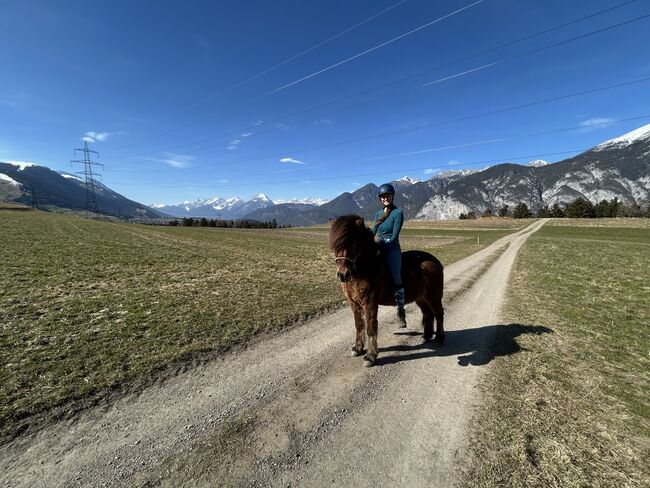 Reitbeteiligung gesucht, Julia Weber, Horse Sharing, Axams