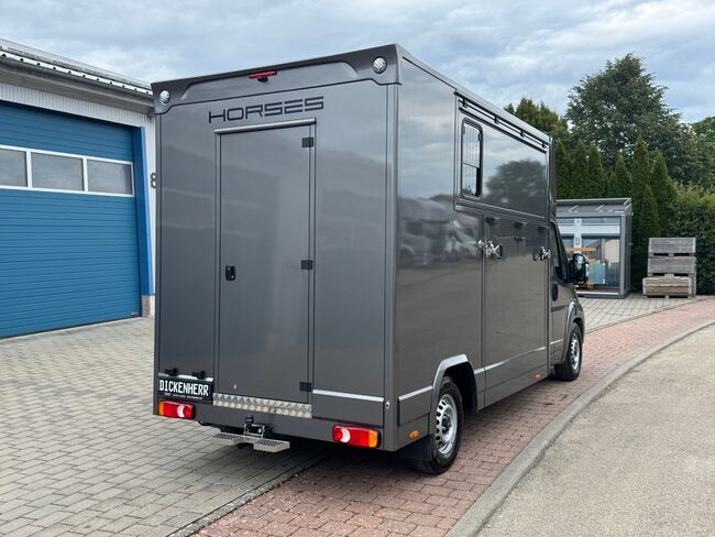Pferdetransporter Citroen Jumper Automatik 180PS Neufahrzeug, Dickenherr  Dickenherr 2 Ride , Gerhard Strobel (Dickenherr Trucks und Trailers), Horse Trailers, Baden-Württemberg - Unterschneidheim, Image 4