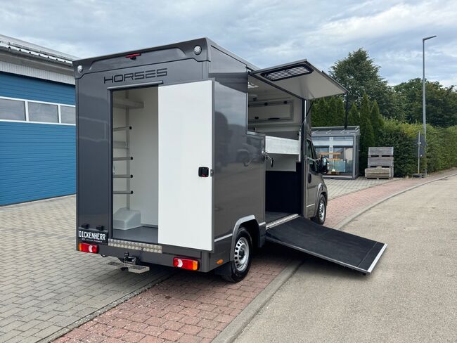 Pferdetransporter Citroen Jumper Automatik 180PS Neufahrzeug, Dickenherr  Dickenherr 2 Ride , Gerhard Strobel (Dickenherr Trucks und Trailers), Horse Trailers, Baden-Württemberg - Unterschneidheim, Image 6