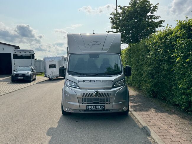 Pferdetransporter Citroen Jumper Automatik 180PS Neufahrzeug, Dickenherr  Dickenherr 2 Ride , Gerhard Strobel (Dickenherr Trucks und Trailers), Horse Trailers, Baden-Württemberg - Unterschneidheim, Image 8
