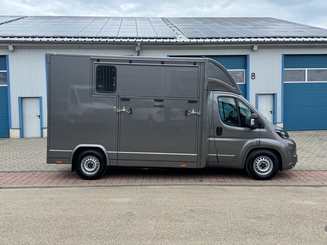 Pferdetransporter Citroen Jumper Automatik 180PS Neufahrzeug, Dickenherr  Dickenherr 2 Ride , Gerhard Strobel (Dickenherr Trucks und Trailers), Horse Trailers, Baden-Württemberg - Unterschneidheim, Image 10