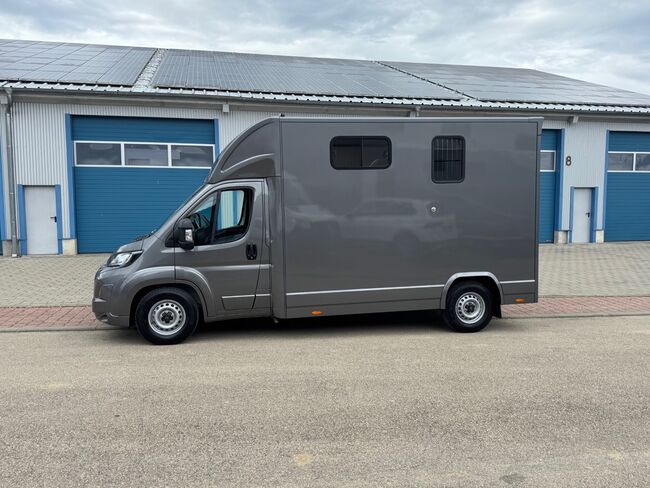 Pferdetransporter Citroen Jumper Automatik 180PS Neufahrzeug, Dickenherr  Dickenherr 2 Ride , Gerhard Strobel (Dickenherr Trucks und Trailers), Horse Trailers, Baden-Württemberg - Unterschneidheim, Image 15