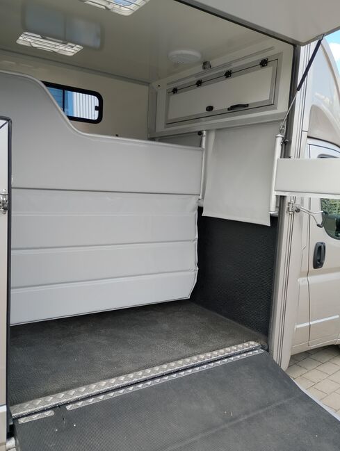 Pferdetransporter Citroen Jumper Automatik 180PS Neufahrzeug, Dickenherr  Dickenherr 2 Ride , Gerhard Strobel (Dickenherr Trucks und Trailers), Horse Trailers, Baden-Württemberg - Unterschneidheim, Image 14