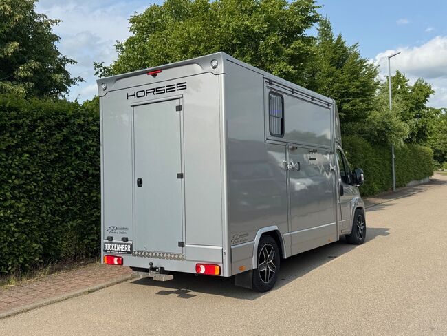 Pferdetransporter Citroen Jumper Automatik 180PS Neufahrzeug, Dickenherr  Dickenherr 2 Ride , Gerhard Strobel (Dickenherr Trucks und Trailers), Przyczepa konna, Baden-Württemberg - Unterschneidheim, Image 3
