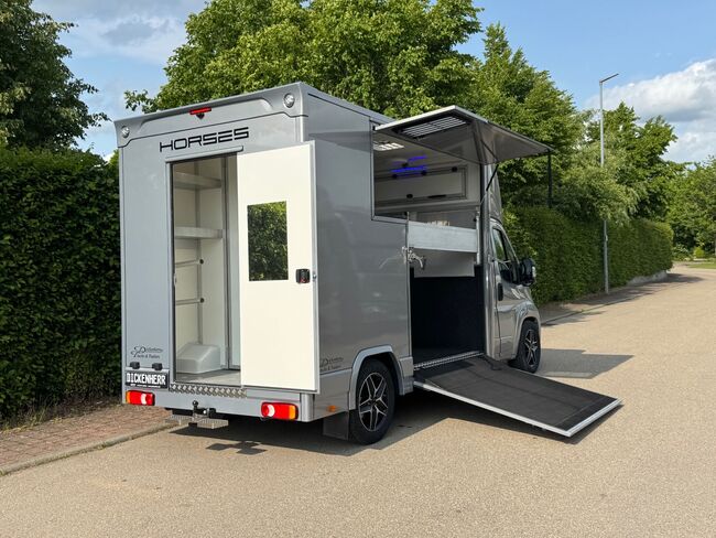 Pferdetransporter Citroen Jumper Automatik 180PS Neufahrzeug, Dickenherr  Dickenherr 2 Ride , Gerhard Strobel (Dickenherr Trucks und Trailers), Przyczepa konna, Baden-Württemberg - Unterschneidheim, Image 10