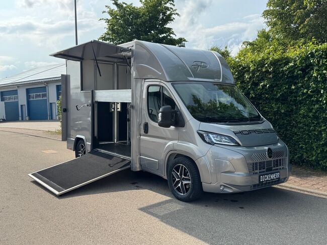 Pferdetransporter Citroen Jumper Automatik 180PS Neufahrzeug, Dickenherr  Dickenherr 2 Ride , Gerhard Strobel (Dickenherr Trucks und Trailers), Przyczepa konna, Baden-Württemberg - Unterschneidheim, Image 12
