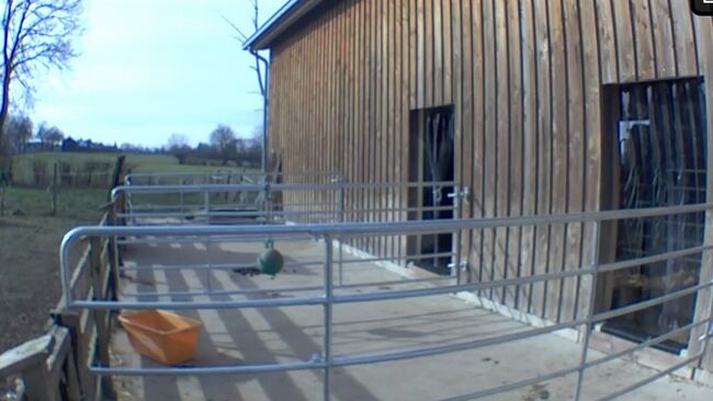 Pferdebox Stellplatz Aktivstall Allergiker, Keppens , Horse Stables, Aachen