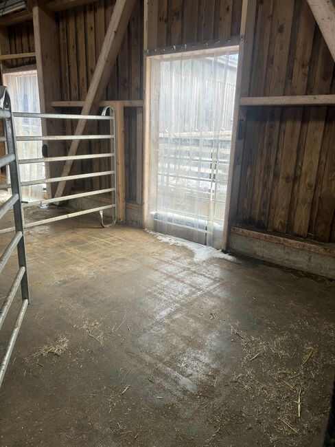 Pferdebox Stellplatz Aktivstall Allergiker, Keppens , Horse Stables, Aachen