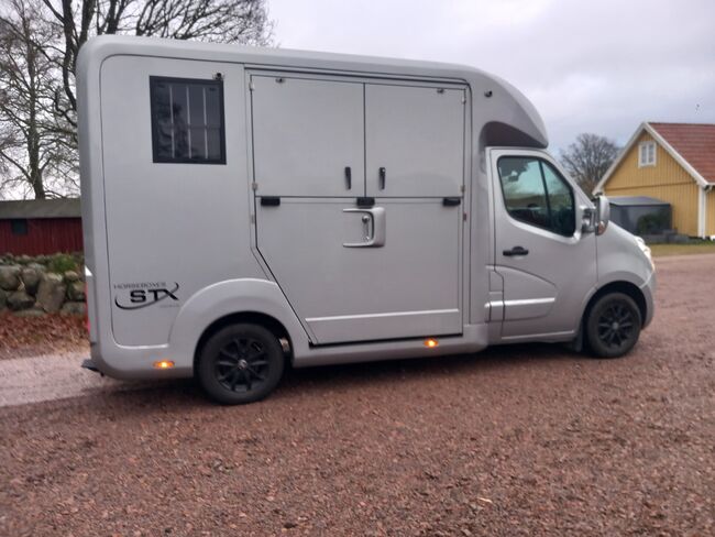 Pferdetransporter Renault Master STX Automatik Nur 58.000KM, Renault Master STX, Gerhard Strobel (Dickenherr Trucks und Trailers), Horse Trailers, Baden-Württemberg - Unterschneidheim, Image 4