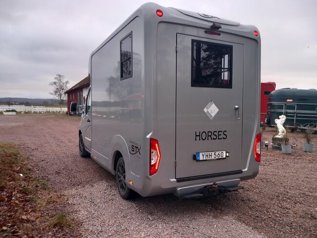 Pferdetransporter Renault Master STX Automatik Nur 58.000KM, Renault Master STX, Gerhard Strobel (Dickenherr Trucks und Trailers), Horse Trailers, Baden-Württemberg - Unterschneidheim, Image 8