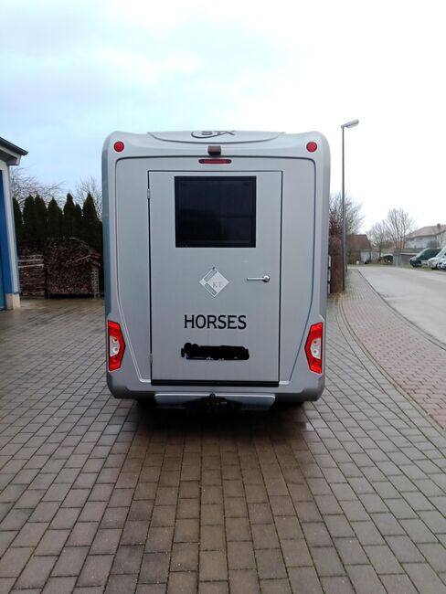 Pferdetransporter Renault Master STX Automatik Nur 77.000KM, Renault Master STX, Gerhard Strobel (Dickenherr Trucks und Trailers), Horse Trailers, Baden-Württemberg - Unterschneidheim, Image 9