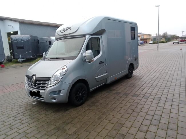 Pferdetransporter Renault Master STX Automatik Nur 77.000KM, Renault Master STX, Gerhard Strobel (Dickenherr Trucks und Trailers), Horse Trailers, Baden-Württemberg - Unterschneidheim, Image 12