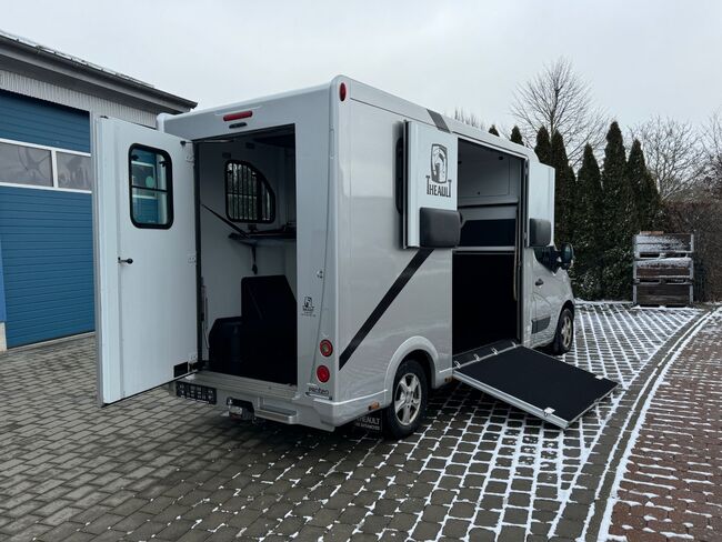 Pferdetransporter Theault Proteo Automatik Nur 60300KM Klima Navi, Gerhard Strobel (Dickenherr Trucks und Trailers), Horse Trailers, Baden-Württemberg - Unterschneidheim, Image 9