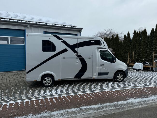 Pferdetransporter Theault Proteo Automatik Nur 60300KM Klima Navi, Gerhard Strobel (Dickenherr Trucks und Trailers), Przyczepa konna, Baden-Württemberg - Unterschneidheim