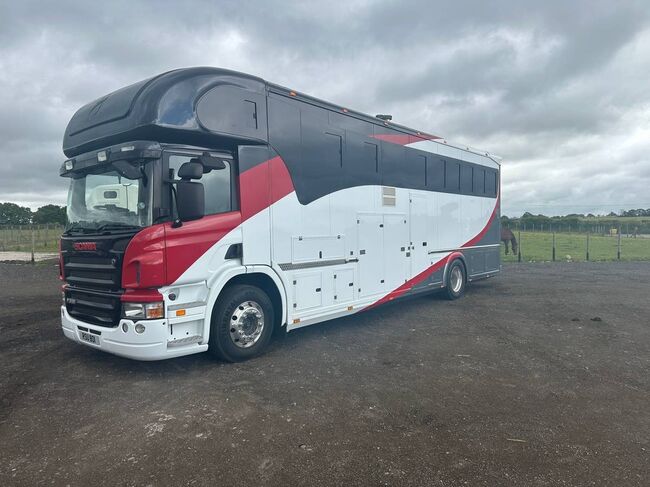 Horseboxes & Trailers for Sale/ Scania P310, Scania P310, Benetto Anette, Pozostałe, Gauteng, Image 13