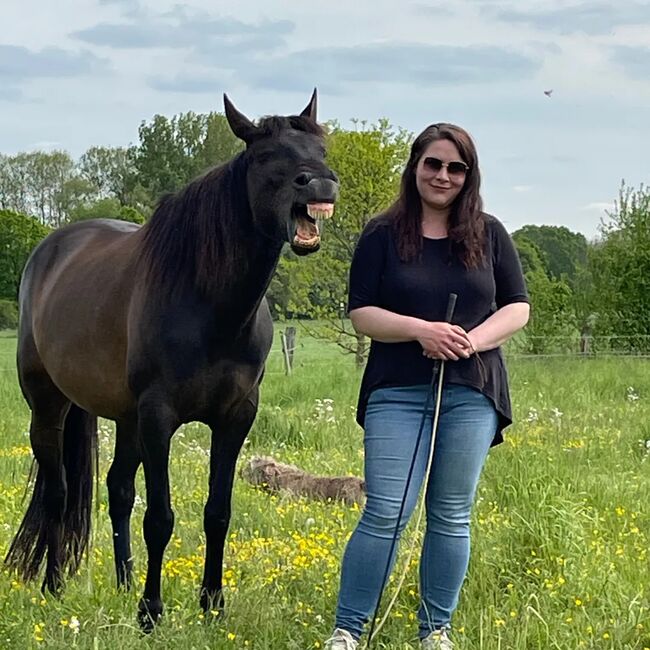 Horsemanship mobil, Bodenarbeit, Problemlösungen, Verladetraining uvm, Theresa Schmitt (Pferd & Herz Horsemanship), Reitunterricht, 37127, Abbildung 3