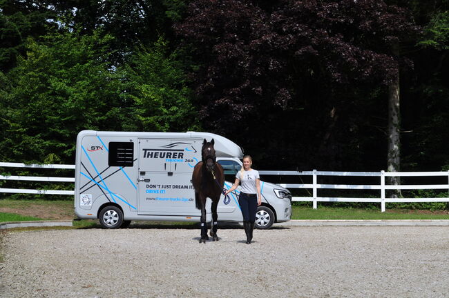 Horsetrucksharing - Miete dir deinen Pferdetransporter, STX-2Horsetruck, TheurerTrucks 2GO (TheurerTrucks 2GO ), Transport