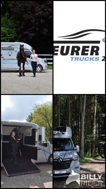 Horsetrucksharing - Miete dir deinen Pferdetransporter, STX-2Horsetruck, TheurerTrucks 2GO (TheurerTrucks 2GO ), Transport, Image 5