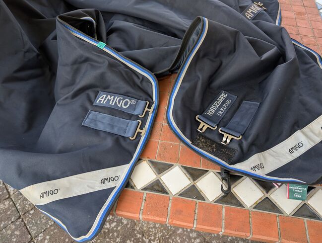 Horseware Amigo 250g 155cm, Horseware Amigo, Lydia , Pferdedecken, Winhöring, Abbildung 2