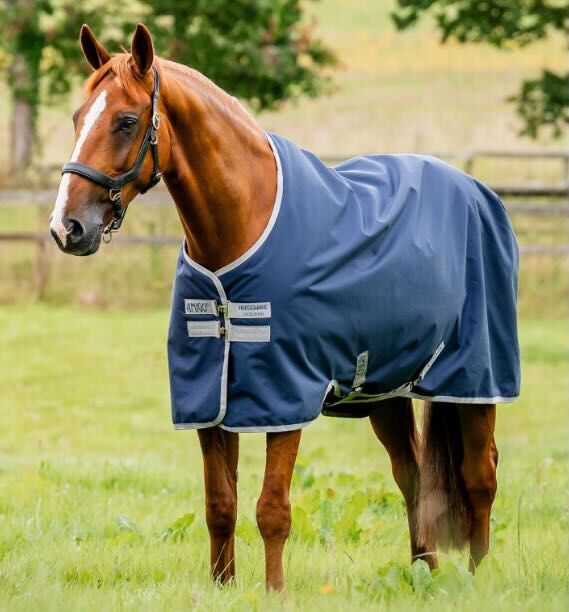 Horseware Amigo Ripstop 900D Turnout 100g, NEU, Amigo Horseware Horseware Amigo Ripstop 900D Turnout 100g, K. Mundhenke, Pferdedecken, Hünstetten