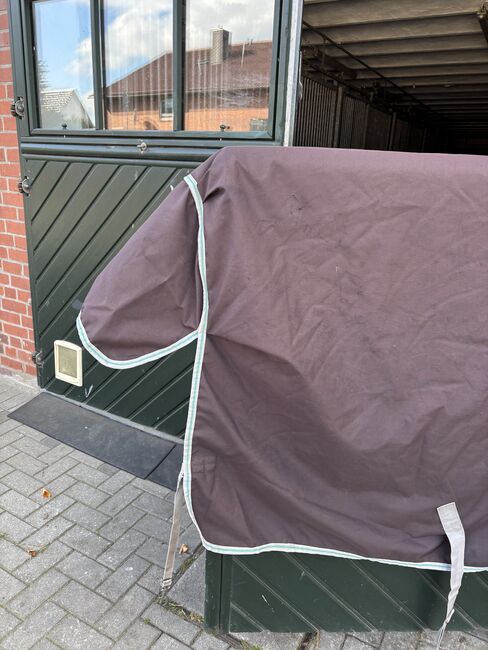 Horseware Amigo Wug 145cm/ 250 gr, Horseware Amigo Wug, Florentine , Horse Blankets, Sheets & Coolers, Hamburg , Image 5