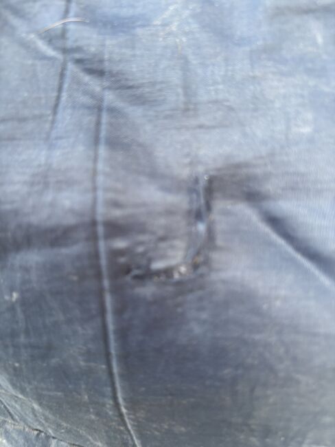 Horseware Amigo Wug 145cm/ 250 gr, Horseware Amigo Wug, Florentine , Horse Blankets, Sheets & Coolers, Hamburg , Image 10