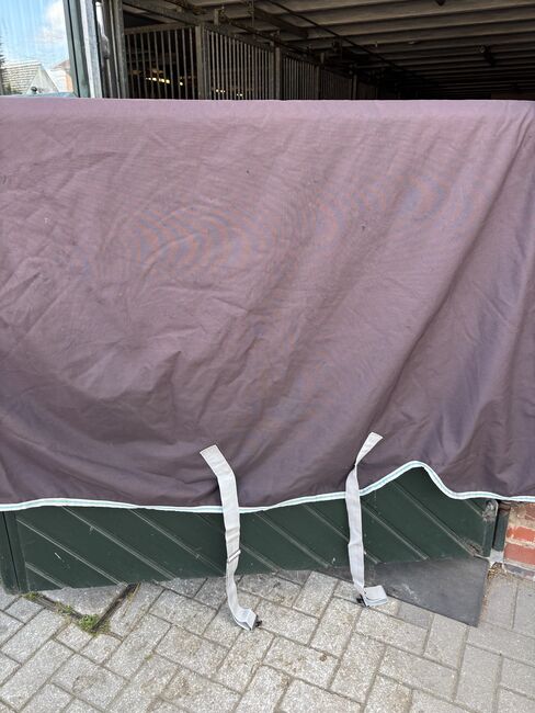 Horseware Amigo Wug 145cm/ 250 gr, Horseware Amigo Wug, Florentine , Horse Blankets, Sheets & Coolers, Hamburg , Image 6