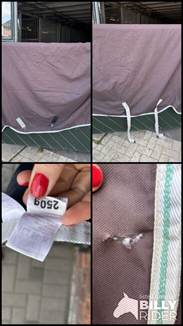 Horseware Amigo Wug 145cm/ 250 gr, Horseware Amigo Wug, Florentine , Horse Blankets, Sheets & Coolers, Hamburg , Image 12