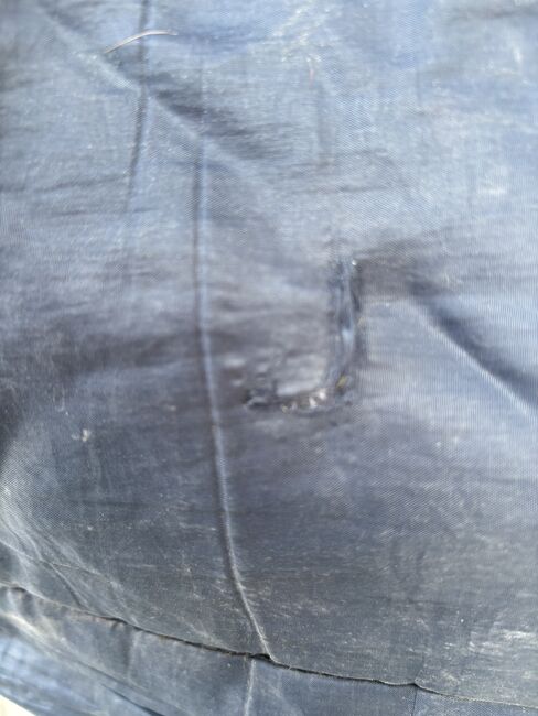 Horseware Amigo Wug 145cm/ 250 gr, Horseware Amigo Wug, Florentine , Horse Blankets, Sheets & Coolers, Hamburg , Image 7