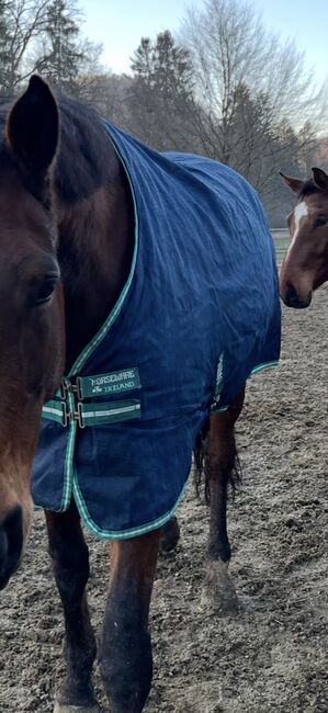 Horseware Ireland Amigo Regendecke 155 cm Dunkelblau Navy, Horseware Rambo, Sarah Koch, Horse Blankets, Sheets & Coolers, Feldkirchen - Westerham
