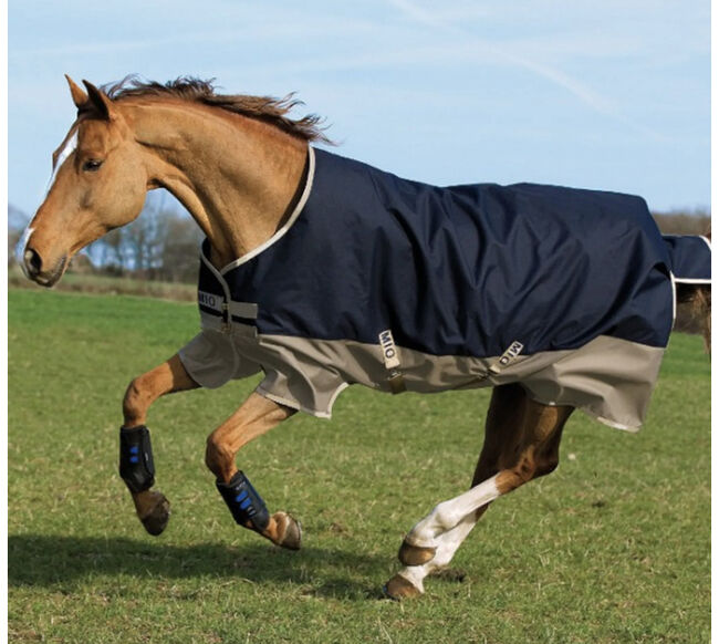 Horseware Ireland Regendecke ungefüttert 145cm, Bernadett, Horse Blankets, Sheets & Coolers, Kaufbeuren