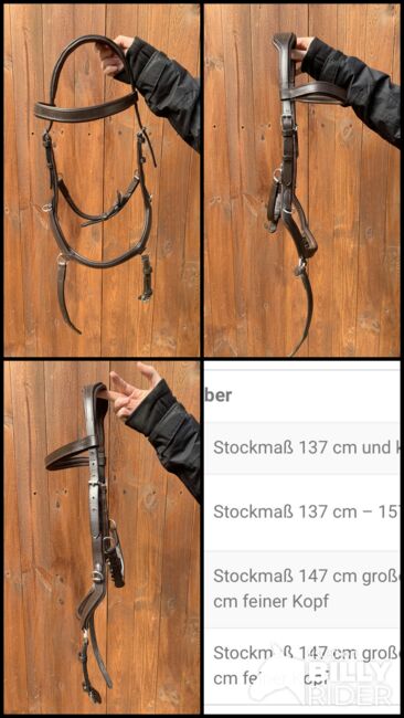 Horseware Micklem, Annaba , Trensen, Mauchenheim, Abbildung 6