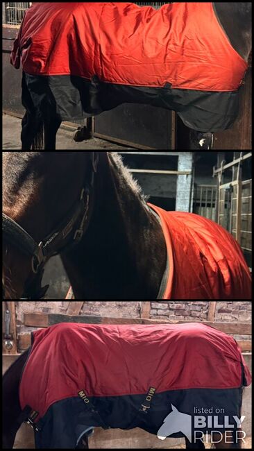 Horseware Mio Decke 50g, Horseware  Mio, Kim Sophi Speer, Horse Blankets, Sheets & Coolers, Datteln, Image 4