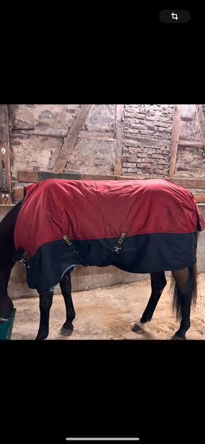 Horseware Mio Decke 50g, Horseware  Mio, Kim Sophi Speer, Horse Blankets, Sheets & Coolers, Datteln, Image 3