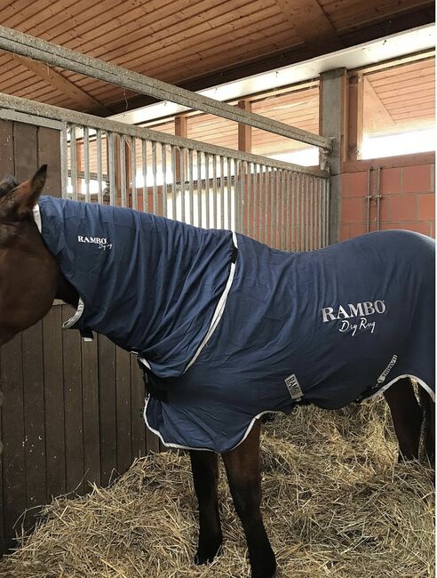 Horseware Rambo Dry Rug, Rambo  Dry Rug, Sophie Neugebauer, Horse Blankets, Sheets & Coolers, Gingst, Image 2