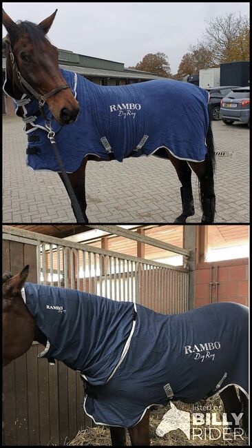 Horseware Rambo Dry Rug, Rambo  Dry Rug, Sophie Neugebauer, Horse Blankets, Sheets & Coolers, Gingst, Image 3