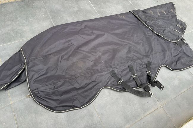 Horseware Winterdecke 350g 145cm, Horseware Trot, Merle , Horse Blankets, Sheets & Coolers, Jerrishoe