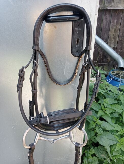 Horze Clermont Anatomische Trense (braun, Glitzer & Lack), Horze Horze Clermont Anatomische Trense, Josi, Bridles & Headstalls, Oderaue, Image 5