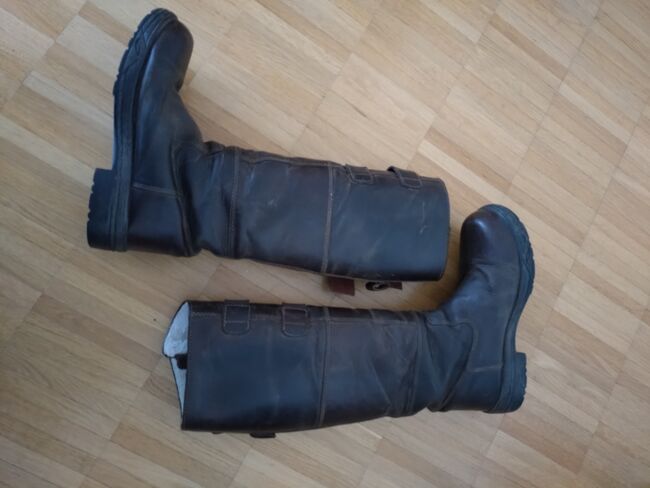 Horze Rovigo, Horze Rovigo, DAB, Riding Boots, Rüttenen, Image 3